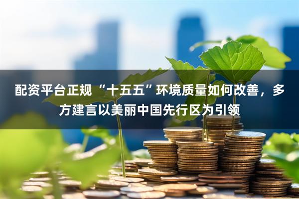 配资平台正规 “十五五”环境质量如何改善，多方建言以美丽中国先行区为引领