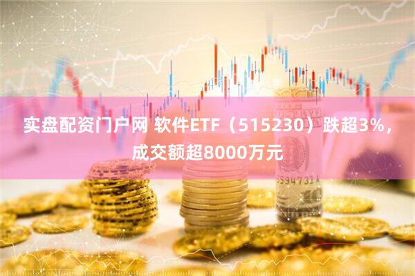 实盘配资门户网 软件ETF（515230）跌超3%，成交额超8000万元